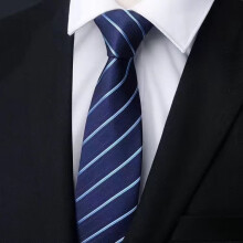(White Blue Fine Lines)Stripes Pattern Tie Men Polyester Stylish Accessories For Occasion Special