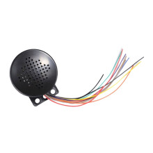 Haut-Parleur Vocal 6V-35V Personnalisable, Commande D'Accès Vocale, Verrouillage de Voiture, Sécurité