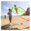 Melissa & Doug Melissa & Doug Winged Dragon Shaped Kite 2