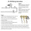 Ceiling Fan Light  Zing Ear ZE-109 Two-Wire Light  with Pull Cords for Ceiling Light Fans Lamps 2Pcs Bronze 4