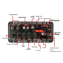 Leistungsverstärkungsplatine D10C BT 5.0 Dual-Mikrofon-Subwoofer-Batterie Wiederaufladbare Digitale Verstärkerplatine Karaoke (EU)