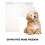 Porte Animaux Transparent PVC Adhésif Facile Installation 8