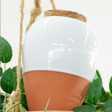 Plant Watering , Terracotta Watering Spike - Slow Release Watering Can,16 Ounces - Self Watering Spike,4pcs