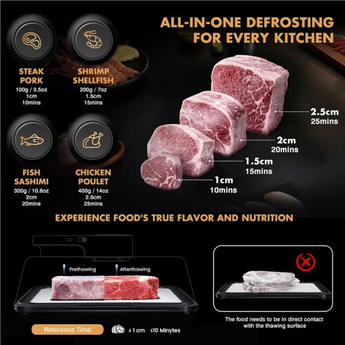 Rapid Defrosting Tray for  Meat 2