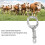 Rinder-Nasenring Medium Edelstahl - Spring 5