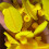 10 Pieces of Car Dent Repair Tools New Yellow Pull-Tab Pull-Tab  Gasket Suction Cup Combination 3
