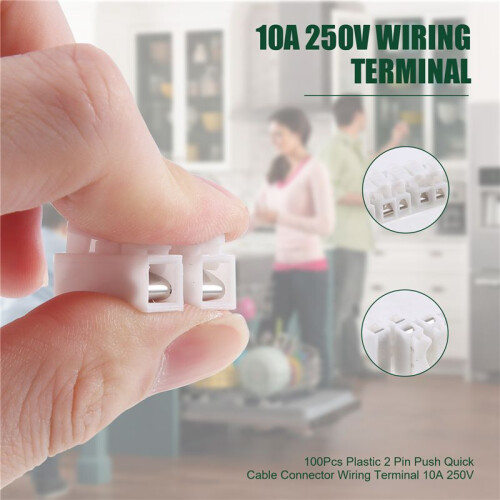 100Pcs Plastique 2 Broches Push Connecteur de Câble Rapide Terminal de Câblage 10A 250V
