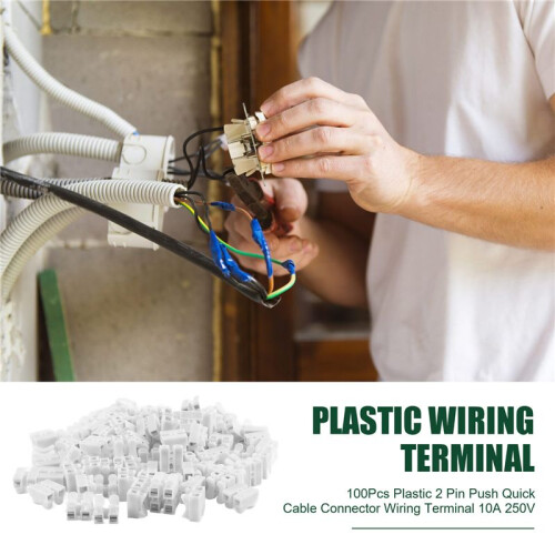 100Pcs Plastic 2 Pin Push Quick Cable Connector Wiring Terminal 10A 250V 1
