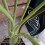 Turtle Shell Bamboo Clamp Set, Plant Stem Plastic Support,Flower-Shaped Green Plant Leaf Holder, Turtle Shell Bamboo A 5