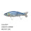 Köderköder Bionics Fischköder Langsam Sinkender Fischköder 135mm/28g Fake Bait Harter Köder P 2