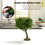 13cm Fine Scale Green Model Tree Wire Trunk Simulation Tree for Mountain Scenery Train Railway Layout 3