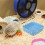 Céramique Pour Cochons D'inde Petits Animaux 11