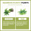 Fish Tank Emulational  Coconut Tree Water Plants Decor w Ceramic Base 6
