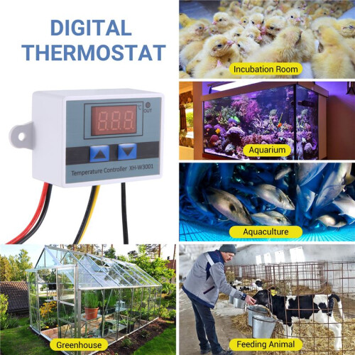 12V Digitale LED-Temperatuurregelaar Thermostaatschakelaar 2