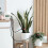 WiFi Tuya  Watering Machine Automatic Micro-Drip Irrigation System Plants Controller System Irrigation Tool Alexa 6