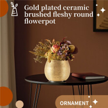 Ceramic Plant Pot Planter Unique Gold-Plated Flower Pot Succulent Flowerpot Flower Vase Plant Pot