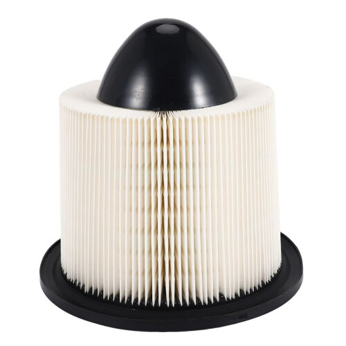 Af4878 Engine Air Filter For  F150 E150 Expedition Mustang  A34878