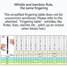 Sifflet Irlandais à 6 Trous avec Étui, Clé de CD, Flûte, Instrument à Vent pour les Amateurs de Musique, Clé C