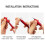 Model Scribing Tool Set, Precision Scribing Blades, Tungsten Carbide Scribing Needle, Scribing Tape, Engraving Tools 8