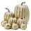 8PCS Assorted Fall Artificial Pumpkins Gold Brushed White Pumpkins Decorative Pumpkins Foam Pumpkins 1