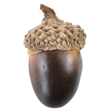 Artificial Acorns, Realistic Simulation Acorns for Fall Vase Filling Decoration, Crafts Wedding Thanksgiving Christmas B