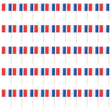 Lot De 50 Pcs Cure-dents En Bois Avec Drapeau Pr Decor Fete Partie Fruits Patisserie - France(Bleu,Blanc,Rouge)