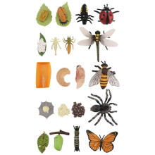 Life Cycle Figurines of Butterfly Spider Bee Ladybug Dragonfly, Plastic Insect Bug Figures Toy, School Project for Kids
