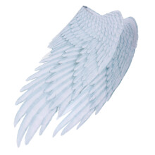 Carnival Party Wedding Costume Props Carnival Adult Men and Women Angel Wings