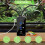 Reptile Humidifier, Misting System for Reptile Terrariums, Automatic Misting System with Adjustable Spray Nozzles 10
