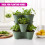 GEEZY GEEZY Stackable Strawberry Planters Set of 3 Vertical Garden Tower Multi Tier Herb Pot 2