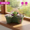 GEEZY GEEZY Stackable Strawberry Planters Set of 3 Vertical Garden Tower Multi Tier Herb Pot 4