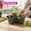 GEEZY GEEZY Stackable Strawberry Planters Set of 3 Vertical Garden Tower Multi Tier Herb Pot 6