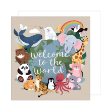 Edition Seidel Premium Greeting Card with Envelope Birth Card For Newborn Son Daughter Boy Girl Child Welcome New Baby (EQ116 SW024)