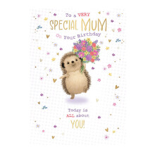 Words 'n' Wishes Special Mum Birthday Card - Happy Birthday Card with a Hedgehog and Flowers Design and Foil Details - Birthday Card for Women
