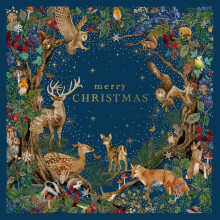 Marie Curie Charity Woodland Wonder Christmas Cards Pack of 10 With Envelopes 14x14cm