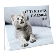 A4 Cute Kittens Calendar 2026 UK 12 Month to View Cute Calendar 2026 UK A3 When Open