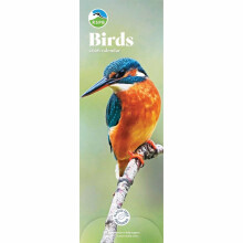Carousel Worldwide, RSPB Birds 2026 Slim Wall Calendar