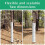 8PCS Tree Protectors 2 Size Plastic Spiral Tree Guard Tree Trunk Protector Wrap Tree Bark Protector Tube Tree Wraps 5