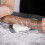 Black Walnut Wood Rolling Pin Perforated Solid Wood Baking Dumpling Sticks Kitchen Tool for Baking Pie Pastry 4