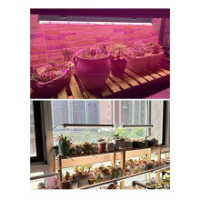 2Pcs LED Plant Growth Lamps Grow Lights for Indoor Plants 25W Plant Lights for Seed Starting Seedlings C EU Plug