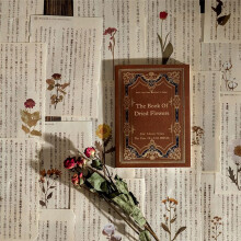 Retro Trace Boekpaginamateriaal Papier Oud Boek Paginatekst Oude Krant Decoratief Materiaal Papier Vlinder