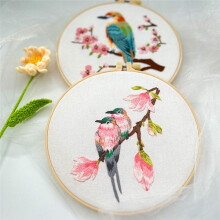 4-Pack Broderisatser för Vuxna Broderisatser för Nybörjare Handbroderisats med Mönster(Birdie)