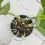 Monstera Stem Support 5pcs Plant Support System for Monstera & Turtle Shell Plants-Quality Leaf Clamps 2