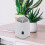 Home And Office Air Purifier With Aroma Diffuser, Ozone Generator And Ionizer, GL-2100 CE ROHS EU Plug 10