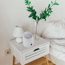 Purificateur D'Air de Maison et de Bureau avec Diffuseur D'ArôMe, GéNéRateur D'Ozone et Ioniseur, Prise UE UE ROHS de la ce GL-2100