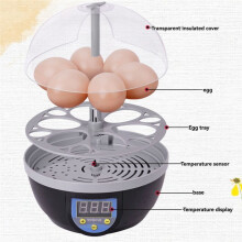 6 Egg Incubator Automatic Temperature Control Hatchery Machine Chicken Duck Quail Bird Brooder Eggs Incubator EU Plug