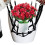 Adjustable Height Planter Inserts Elastic Planter Lift Riser Insert with Hooks Planter Inserts for Pots Planter 7