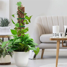 Moss Pole Plastic Plant Stand Indoor Climbing Plants Tutors Moss Stick for Plants Growth Support Accessories