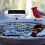 Solar Water Agitator, Circular Water Wave Generator, Rockery Water Wave Tool, Landscaping Tool 6