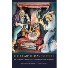 The Computer as Crucible